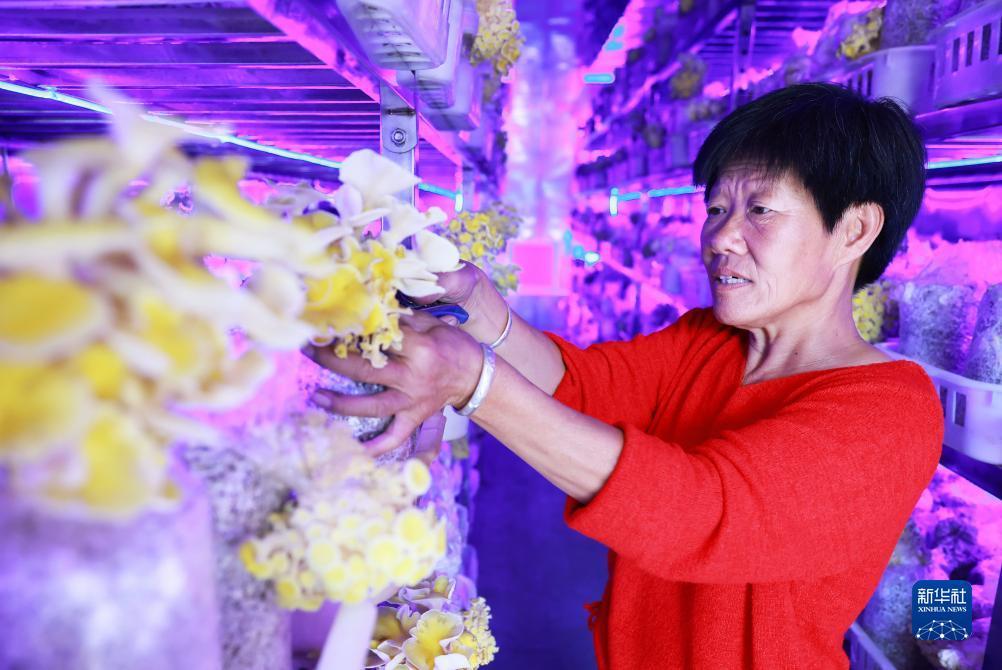 402cc网站怎么进不去